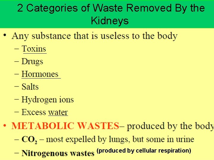 2 Categories of Waste Removed By the Kidneys (produced by cellular respiration) 