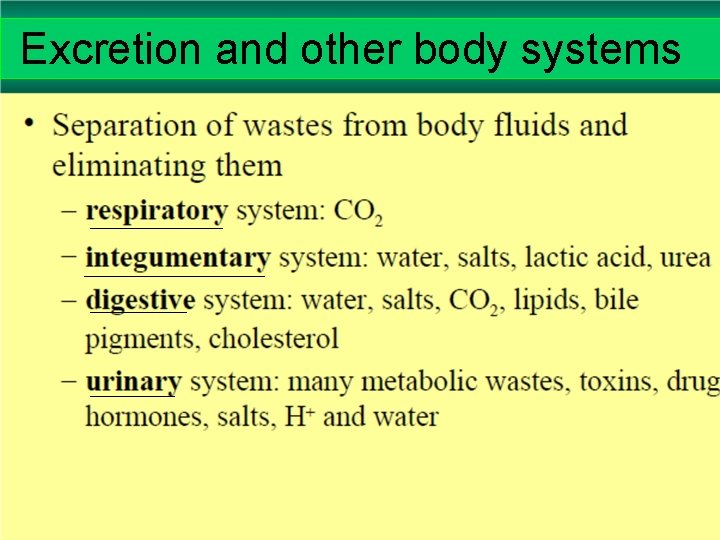 Excretion and other body systems 