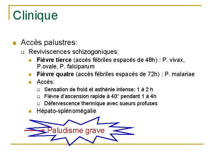 Clinique n Accès palustres: q Reviviscences schizogoniques: n n n Fièvre tierce (accès fébriles