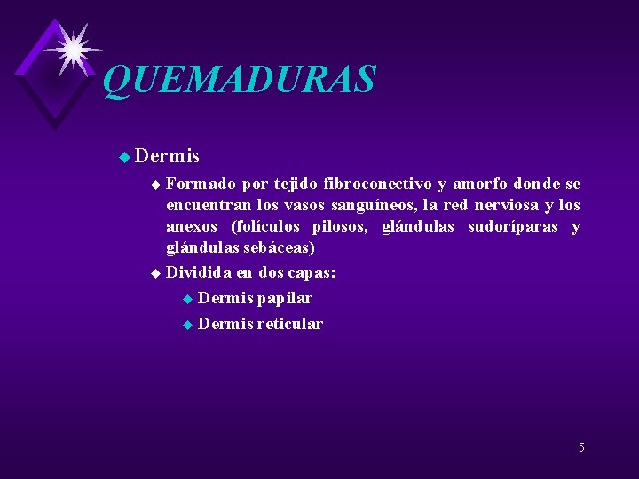 QUEMADURAS u Dermis Formado por tejido fibroconectivo y amorfo donde se encuentran los vasos