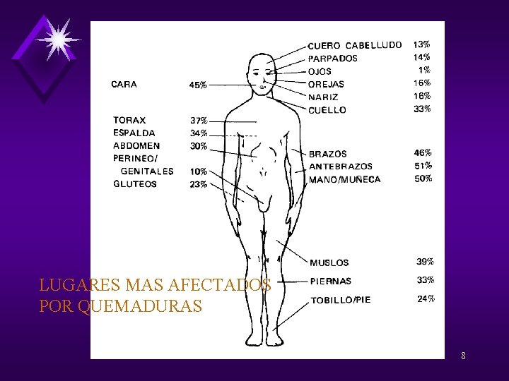 LUGARES MAS AFECTADOS POR QUEMADURAS 8 