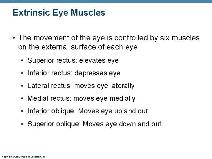 Extrinsic Eye Muscles • The movement of the eye is controlled by six muscles