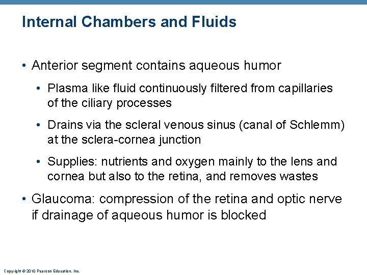 Internal Chambers and Fluids • Anterior segment contains aqueous humor • Plasma like fluid