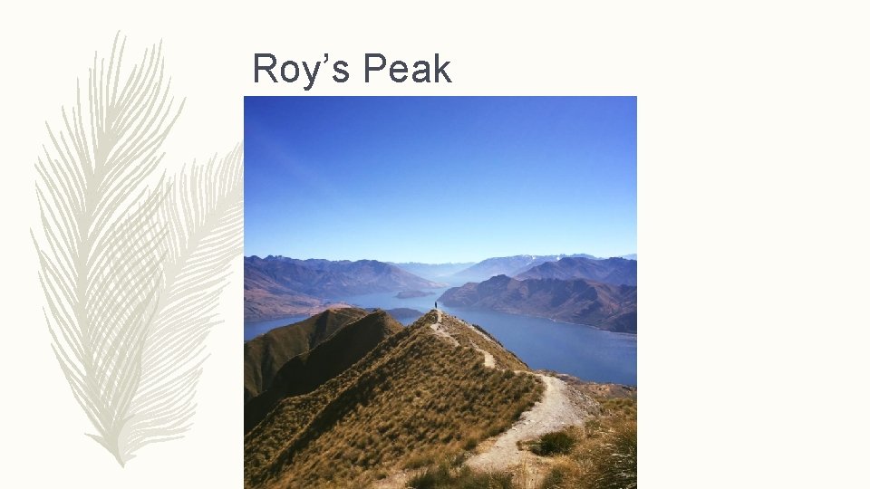 Roy’s Peak 