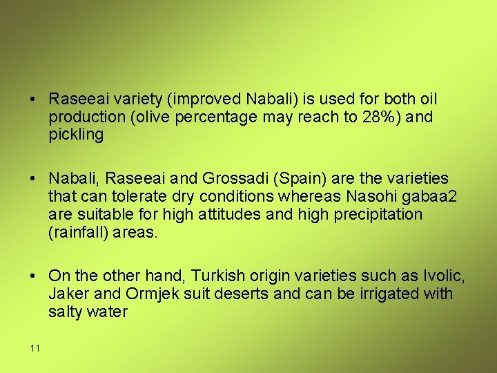  • Raseeai variety (improved Nabali) is used for both oil production (olive percentage