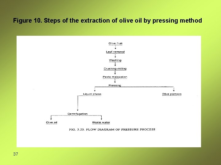 Figure 10. Steps of the extraction of olive oil by pressing method 37 