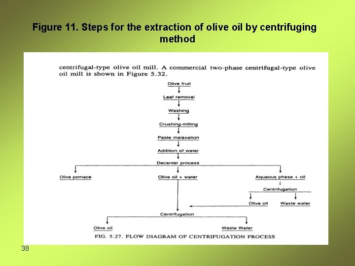 Figure 11. Steps for the extraction of olive oil by centrifuging method 38 