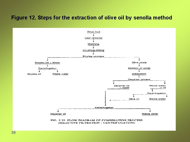 Figure 12. Steps for the extraction of olive oil by senolla method 39 
