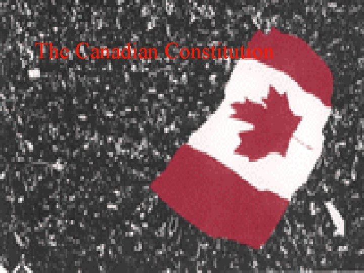 The Canadian Constitution 