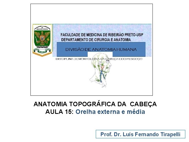 ANATOMIA TOPOGRÁFICA DA CABEÇA AULA 15: Orelha externa e média Prof. Dr. Luís Fernando
