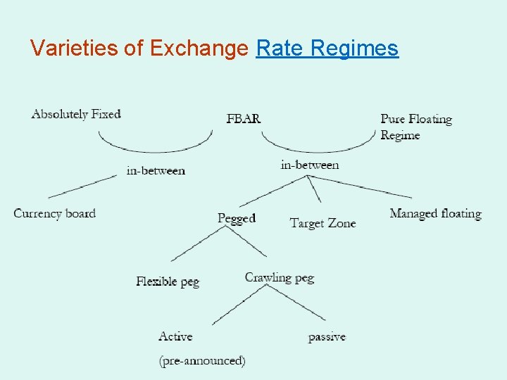 Varieties of Exchange Rate Regimes 