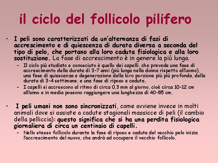 il ciclo del follicolo pilifero • I peli sono caratterizzati da un’alternanza di fasi