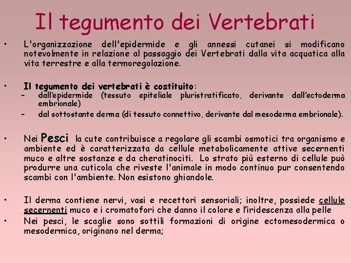 Il tegumento dei Vertebrati • L'organizzazione dell'epidermide e gli annessi cutanei si modificano notevolmente