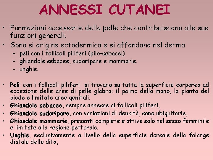 ANNESSI CUTANEI • Formazioni accessorie della pelle che contribuiscono alle sue funzioni generali. •
