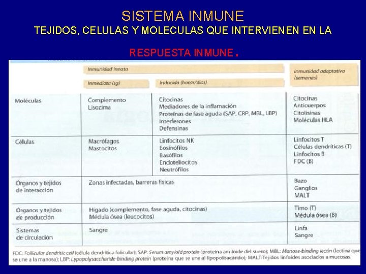 SISTEMA INMUNE TEJIDOS, CELULAS Y MOLECULAS QUE INTERVIENEN EN LA . RESPUESTA INMUNE 