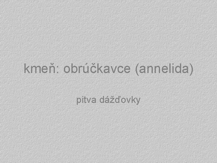 kmeň: obrúčkavce (annelida) pitva dážďovky 