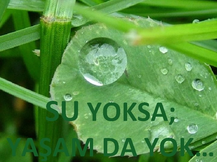 SU YOKSA; YAŞAM DA YOK… 