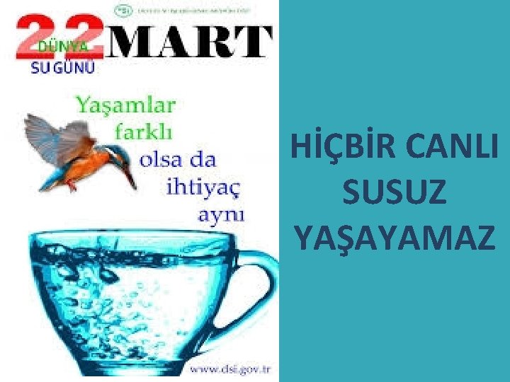 HİÇBİR CANLI SUSUZ YAŞAYAMAZ 