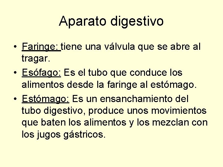 Aparato digestivo • Faringe: tiene una válvula que se abre al tragar. • Esófago: