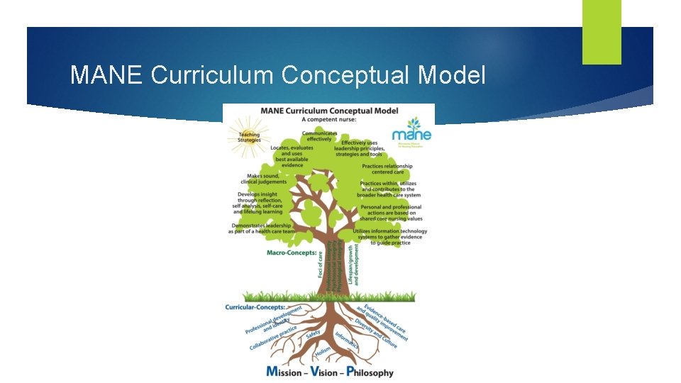 MANE Curriculum Conceptual Model 