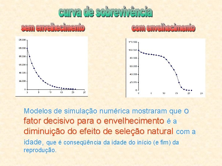 Modelos de simulação numérica mostraram que o fator decisivo para o envelhecimento é a