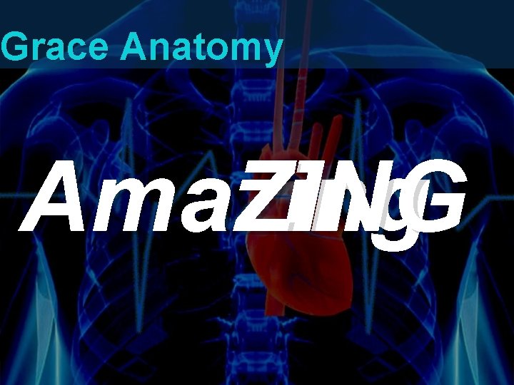 Grace Anatomy ZING Amazing Ama Grace Anatomy ZING Amazing Ama