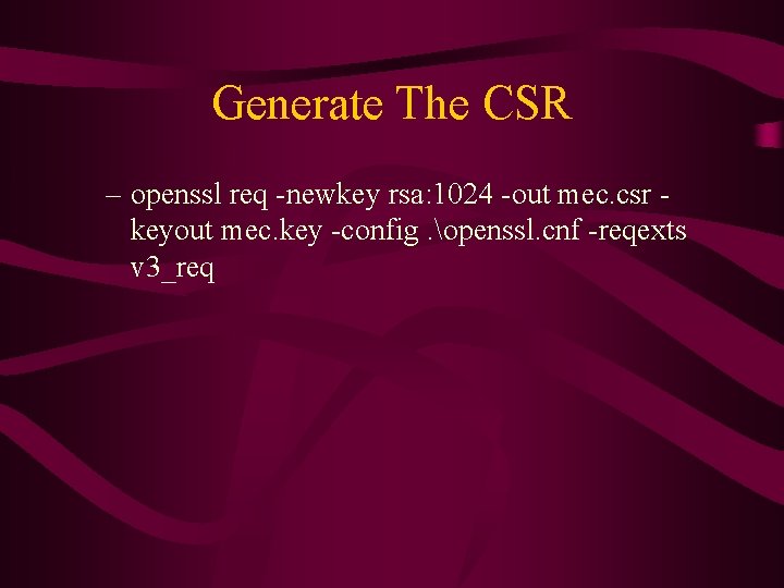 Generate The CSR – openssl req -newkey rsa: 1024 -out mec. csr keyout mec.