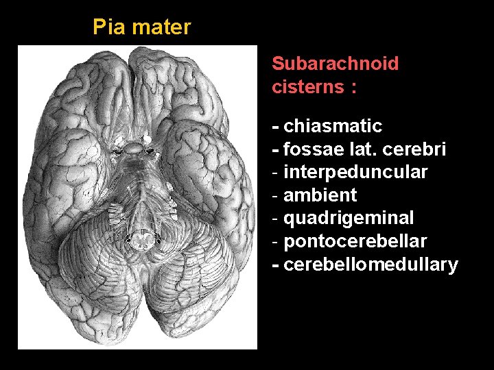 Pia mater Subarachnoid cisterns : - chiasmatic - fossae lat. cerebri - interpeduncular -