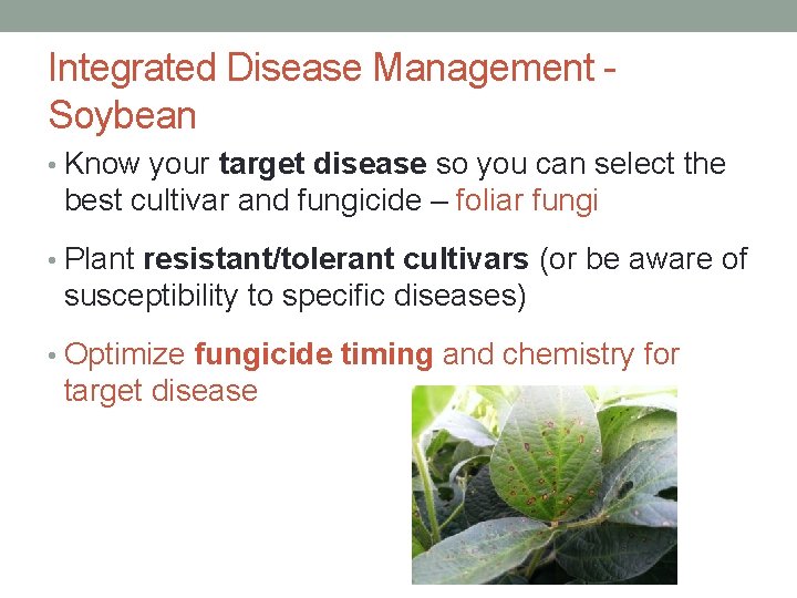 Integrated Disease Management - Soybean • Know your target disease so you can select