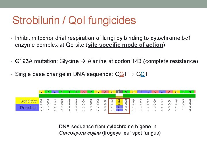 Strobilurin / Qo. I fungicides • Inhibit mitochondrial respiration of fungi by binding to