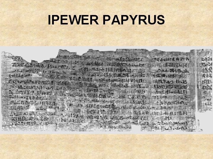 IPEWER PAPYRUS 