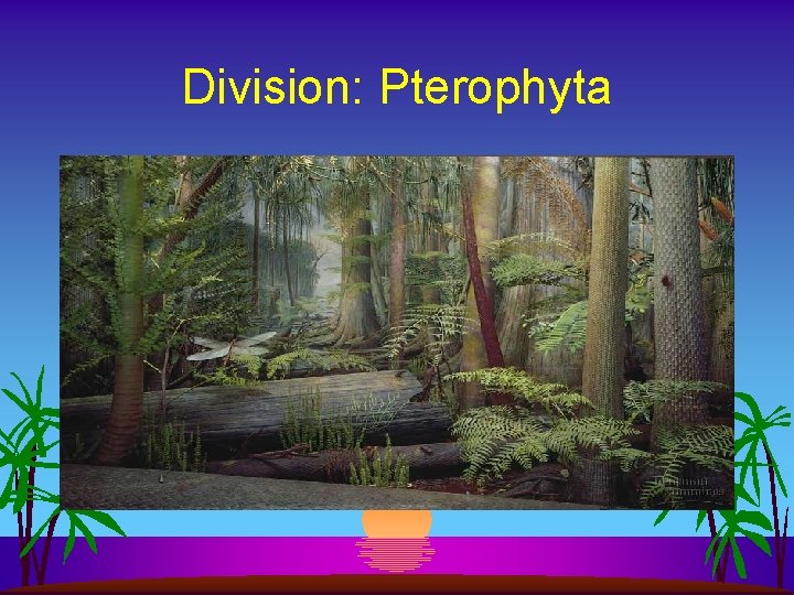 Division: Pterophyta 