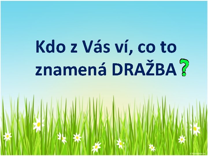 Kdo z Vás ví, co to znamená DRAŽBA 