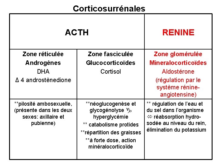 Corticosurrénales ACTH RENINE Zone réticulée Androgènes DHA Δ 4 androstènedione Zone fasciculée Glucocorticoïdes Cortisol