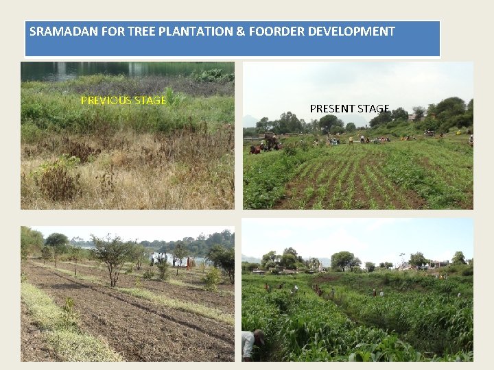 SRAMADAN FOR TREE PLANTATION & FOORDER DEVELOPMENT PREVIOUS STAGE PRESENT STAGE 