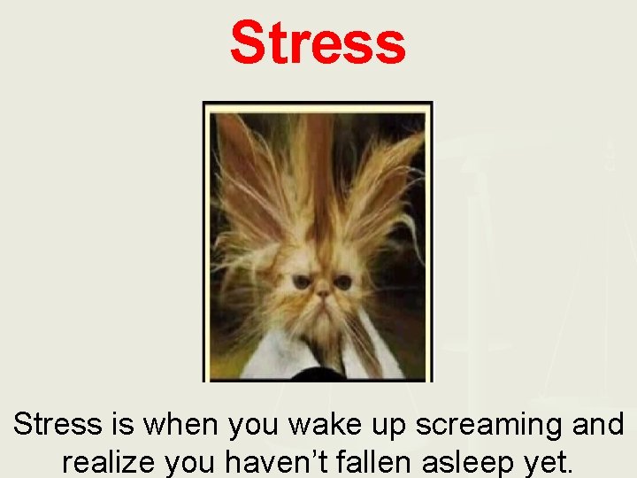 Stress is when you wake up screaming and realize you haven’t fallen asleep yet.