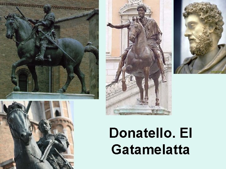 Donatello. El Gatamelatta 