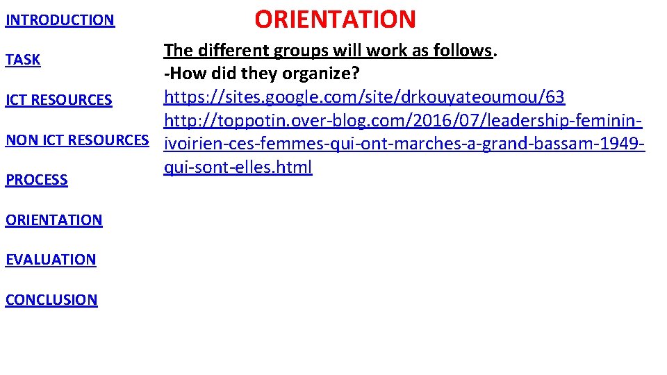 INTRODUCTION ORIENTATION The different groups will work as follows. -How did they organize? https: