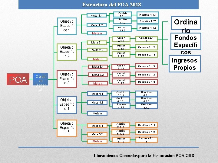 Estructura del POA 2018 Meta 1. 1 Objetivo Específi co 1 Meta 1. 2