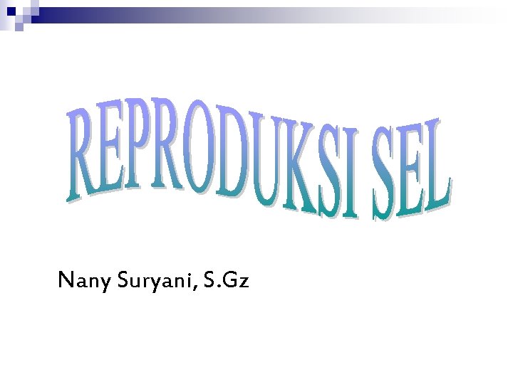 Nany Suryani, S. Gz 