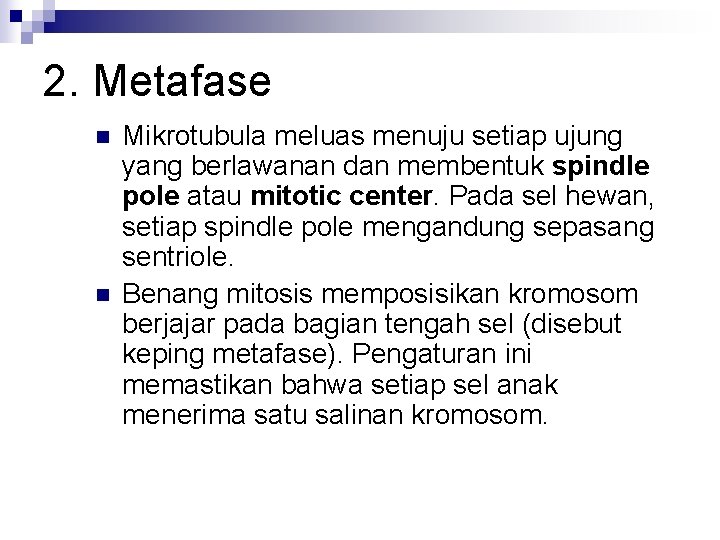 2. Metafase n n Mikrotubula meluas menuju setiap ujung yang berlawanan dan membentuk spindle