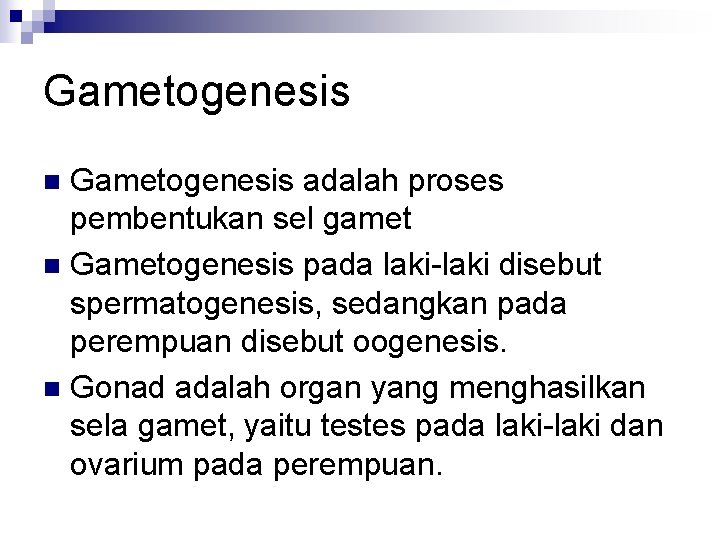 Gametogenesis adalah proses pembentukan sel gamet n Gametogenesis pada laki-laki disebut spermatogenesis, sedangkan pada