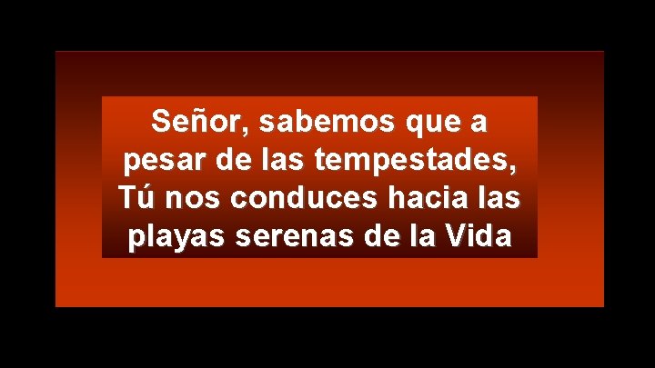 Señor, sabemos que a pesar de las tempestades, Tú nos conduces hacia las playas