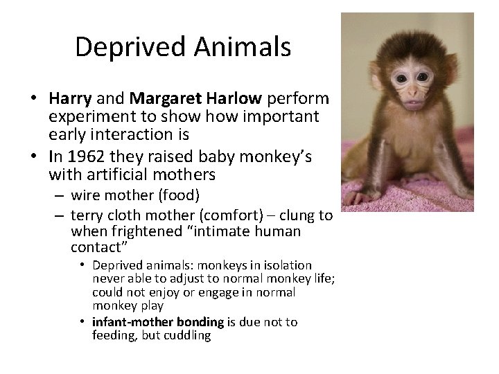 Deprived Animals • Harry and Margaret Harlow perform experiment to show important early interaction