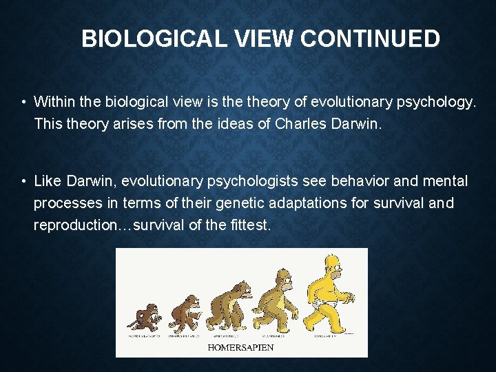 BIOLOGICAL VIEW CONTINUED • Within the biological view is theory of evolutionary psychology. This
