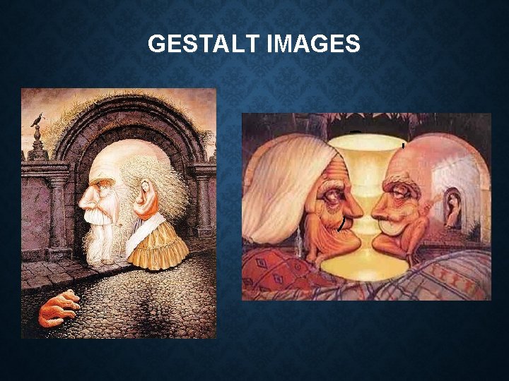 GESTALT IMAGES 