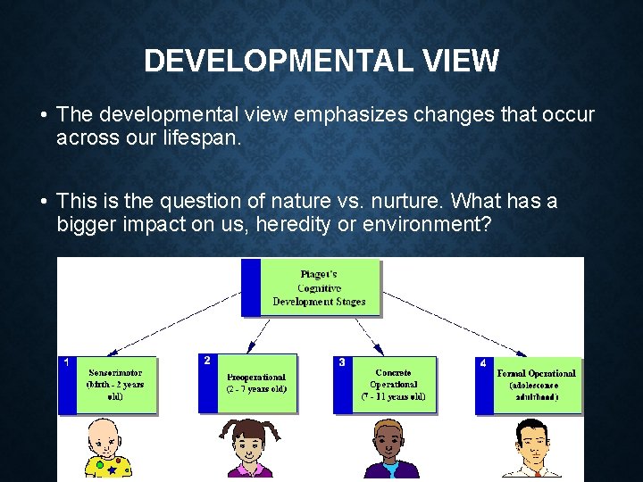 DEVELOPMENTAL VIEW • The developmental view emphasizes changes that occur across our lifespan. •