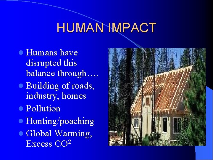 HUMAN IMPACT l Humans have disrupted this balance through…. l Building of roads, industry,