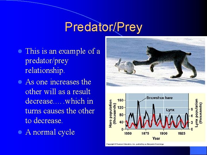 Predator/Prey This is an example of a predator/prey relationship. l As one increases the