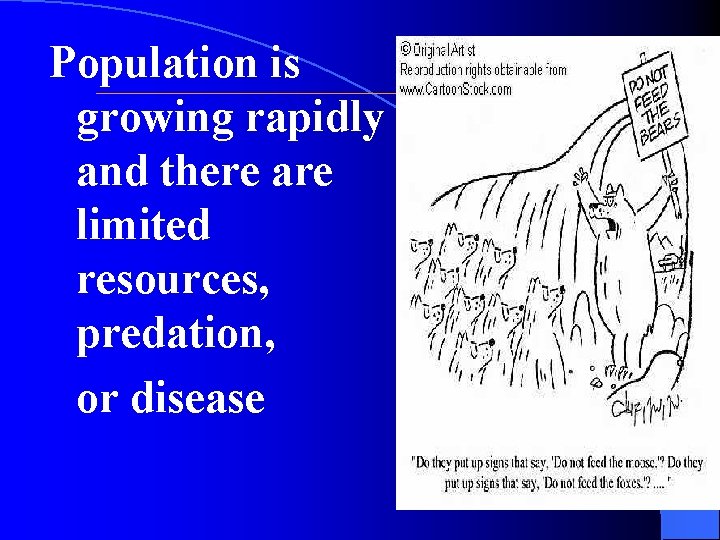 Population is growing rapidly and there are limited resources, predation, or disease 